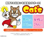 キャッツ(Cat’s)
